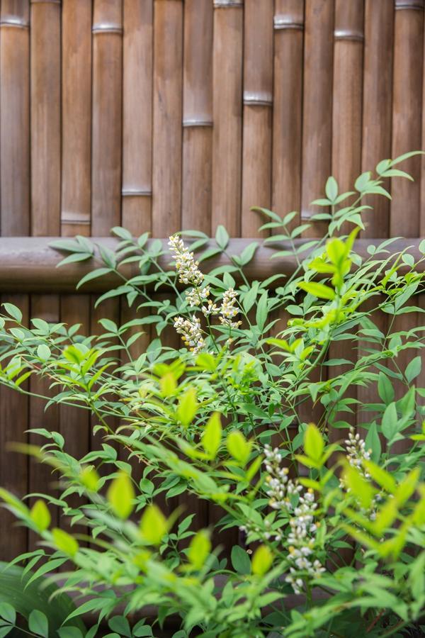 Kyoto Stay Temari Εξωτερικό φωτογραφία
